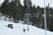 20100225-b-faltschen-0508.jpg