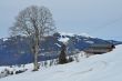20100225-b-faltschen-0541.jpg