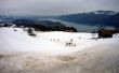 20100225-d-aeschiallmend-0444.jpg