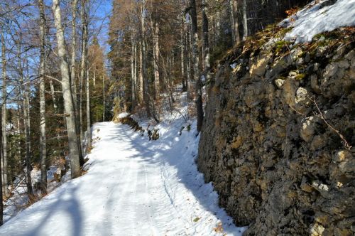 Auf diesem Waldweg (mit coolen Kalkfelsen) gehts zum steileren Skilift "Roche aux Crocs" (gemäss Landeskarte "Roche aux Cros" - man findet beide Bezeichnungen)
