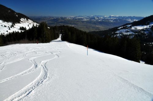 Traumhafte Pisten heute... kompakte Sulz-Unterlage mit Pulverneuschnee
