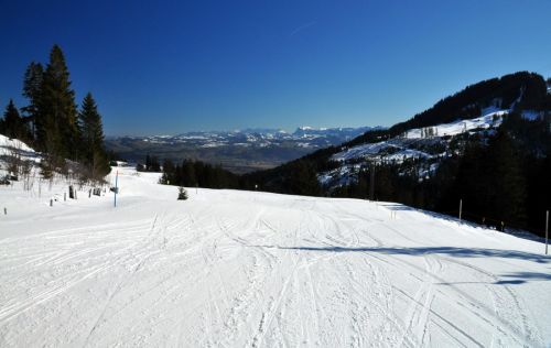 1. März 2010

