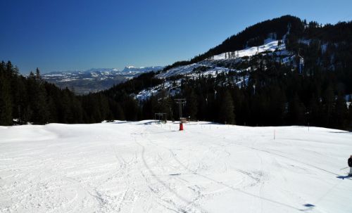 1. März 2010
