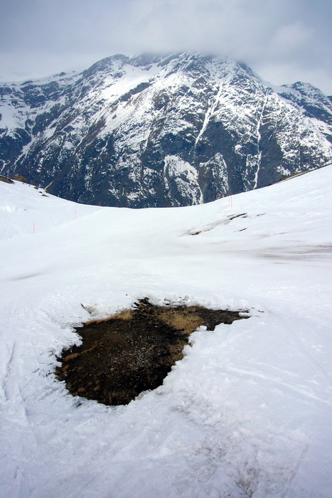 Rothorn-Patrullarve
