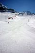 20100417-wengen-0660.jpg