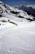 20100417-wengen-0664.jpg