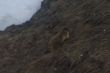 20100427-zermatt-0132.jpg
