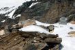 20100428-zermatt-0208.jpg