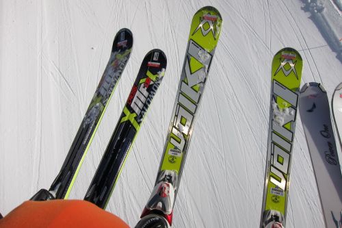 Unsere Testskis

