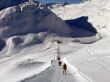 20101230-a-sedrun-353.jpg
