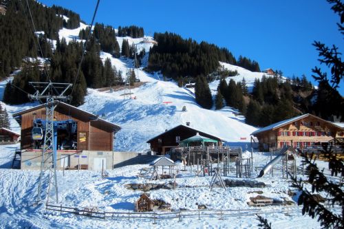 Bort, 17. Januar 2011
