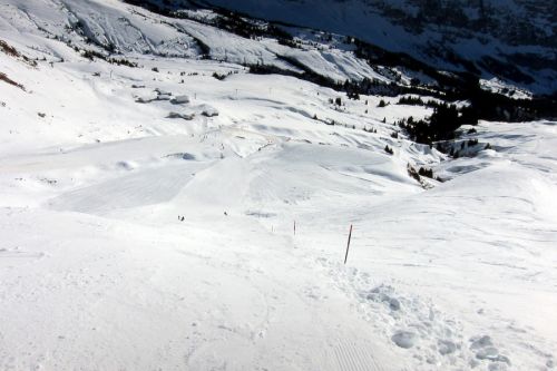 First, 17. Januar 2011
