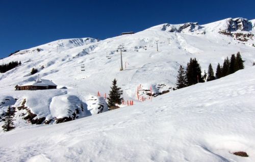 Bestes Frühlingsskifahren Mitte Januar
