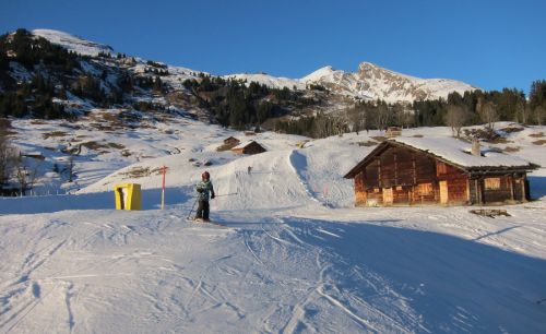First, 17. Januar 2011
