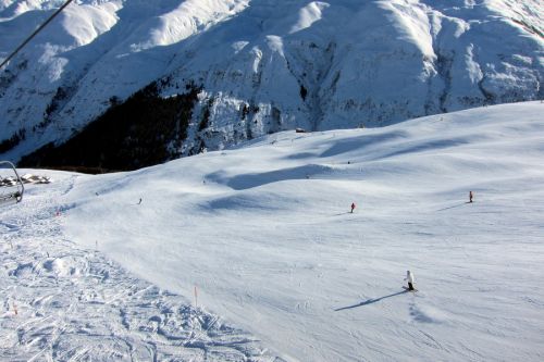 25. Januar 2011
