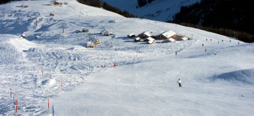 25. Januar 2011
