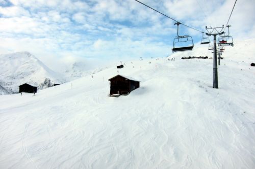 29. Januar 2011
