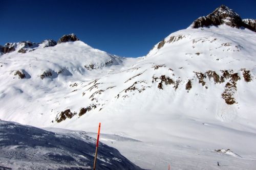 1. Februar 2011
