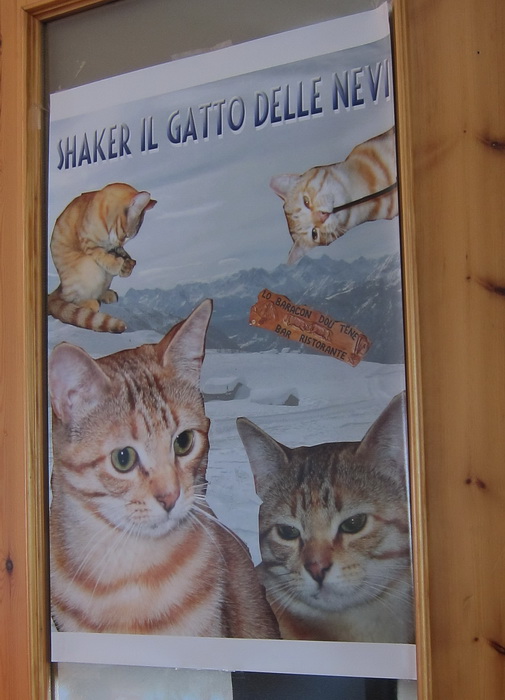 Die hätt ich gern getroffen!
