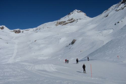 7. Februar 2011
