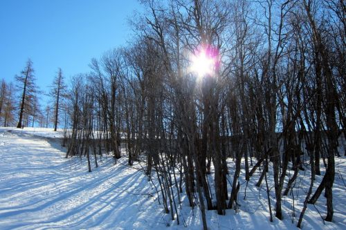 7. Februar 2011
