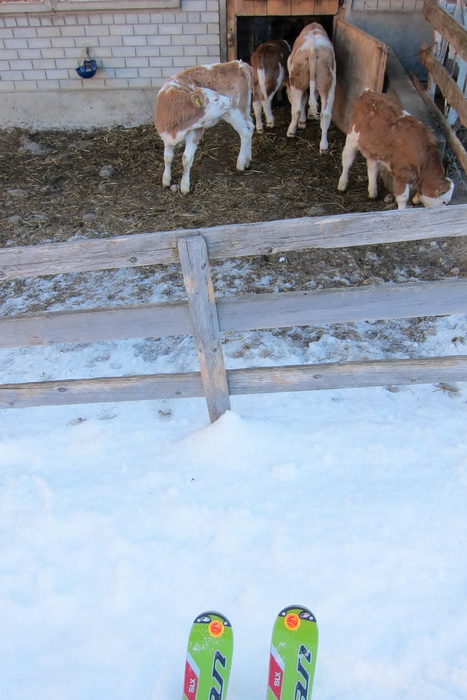 10. Februar 2011
