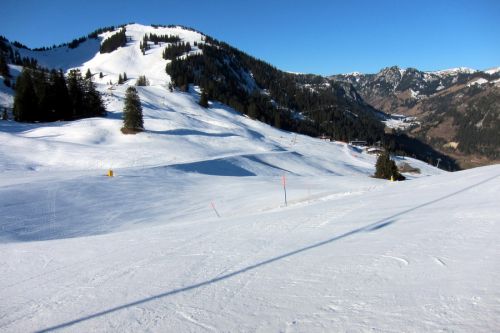 10. Februar 2011
