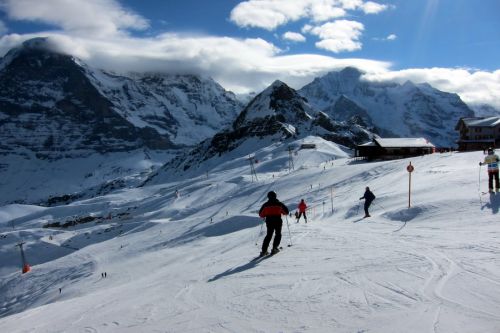 11. Februar 2011
