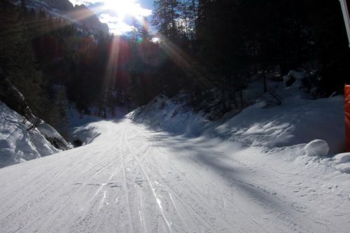 11. Februar 2011
