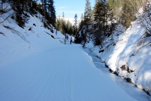11. Februar 2011
