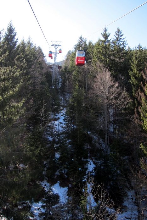 8. März 2011
