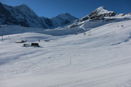 7. März 2011


