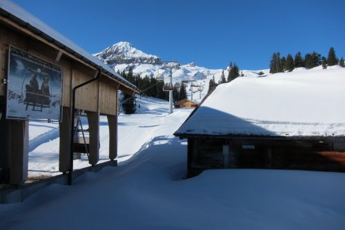 7. März 2011

