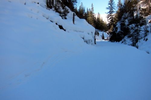 7. März 2011
