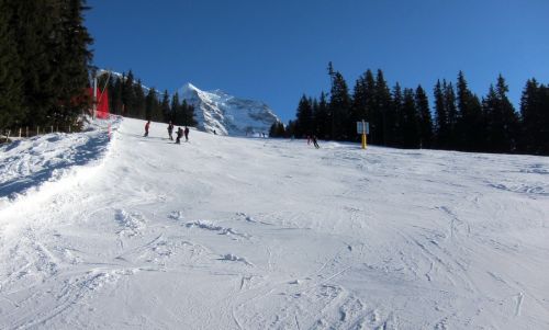 7. März 2011
