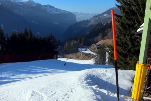7. März 2011
