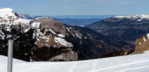 15. März 2011
