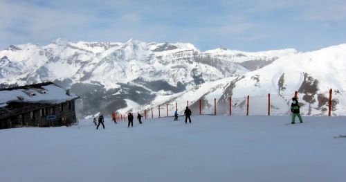 15. März 2011
