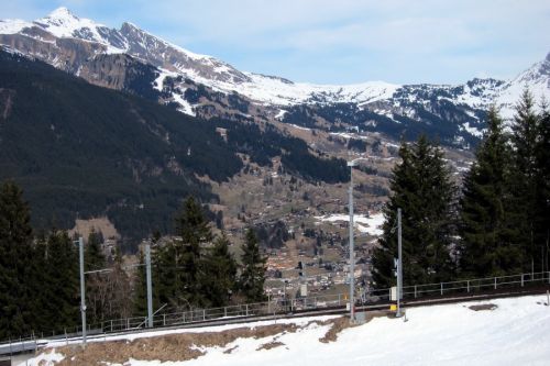 15. März 2011
