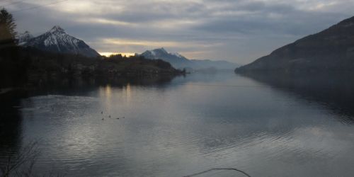 15. März 2011
