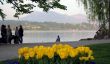 20110421-luzern-4063.jpg