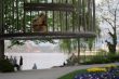20110421-luzern-4066.jpg