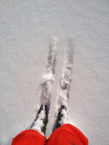 Herrlicher Powder!
