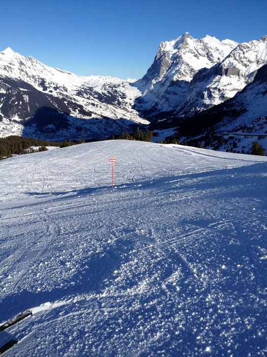 16. Januar 2012
