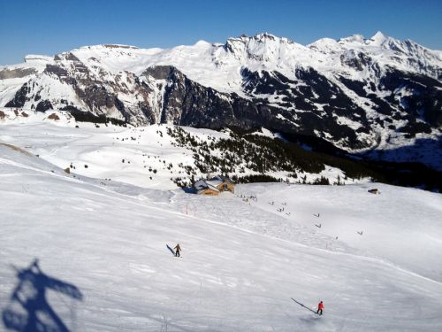 16. Januar 2012
