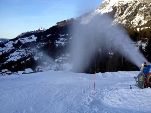 17. Januar 2012
