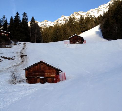 17. Januar 2012
