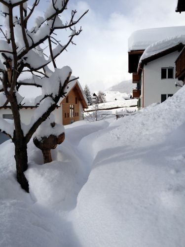 Sedrun, 25. Januar 2012 - wieder Neuschnee über Nacht...

