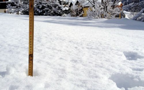 155cm auf der Wiese unter dem Haus
