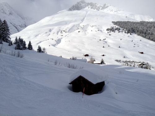 25. Januar 2012
